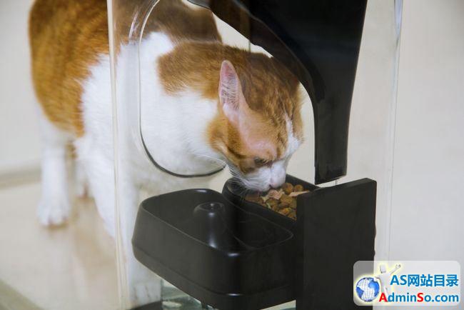 台企业家发明智能喂养器 配备猫脸识别