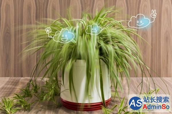 从植物获得灵感 AIRY智能空气净化器问世