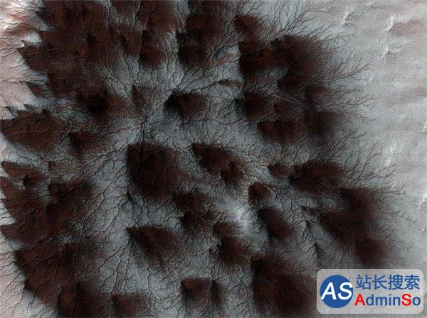 NASA：火星上遍布酷似“蜘蛛”的放射体