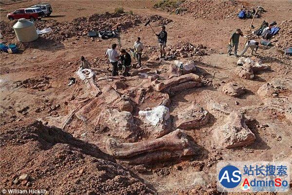 史上最大恐龙被发现：体长达37米
