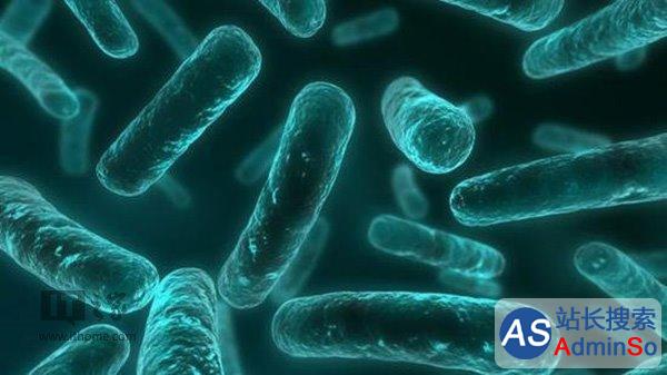 美国发现无敌细菌：所有抗生素无效