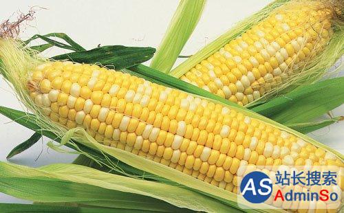 多位学者自愿吃转基因玉米，呼吁加快产业化