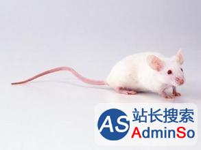 世界首例：日本用iPS细胞培育出大量老鼠卵子繁殖后代