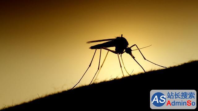 逆天！ 谷歌子公司欲用人工智能技术消灭蚊子