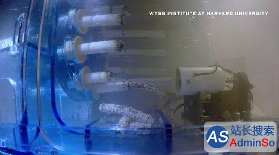 为了助力肺病研究：哈佛大学打造了一款吸烟机器人