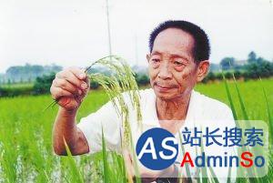 袁隆平：到2050年每公顷稻田必须要养活43人
