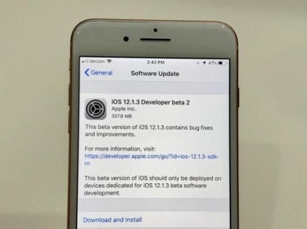正在阅读:苹果iOS12.1.3测试版公布:速度提升明